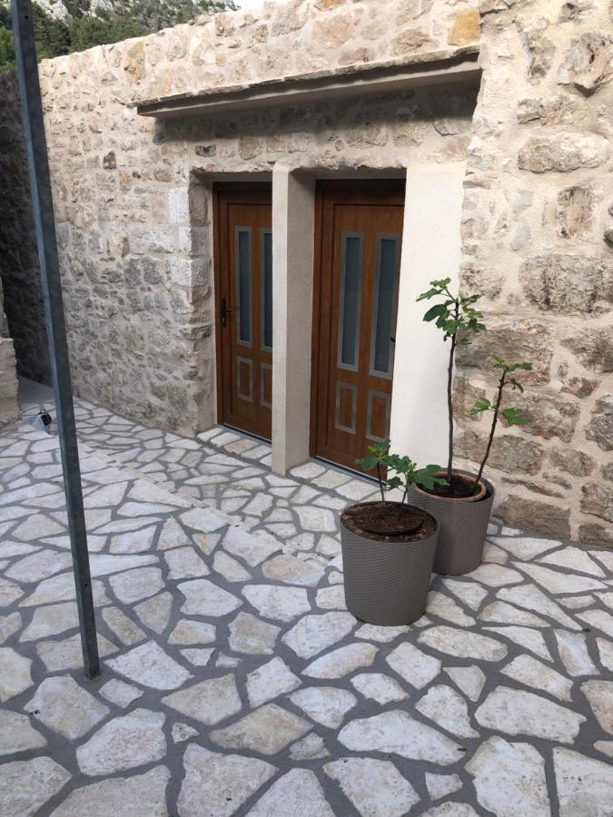 חוואר Old Town Apartment Tonka מראה חיצוני תמונה